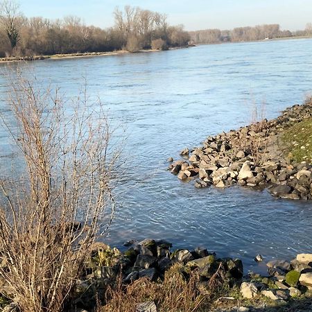 Ferienhaus Hoffmann Am Rheinbogen Altlussheim Esterno foto