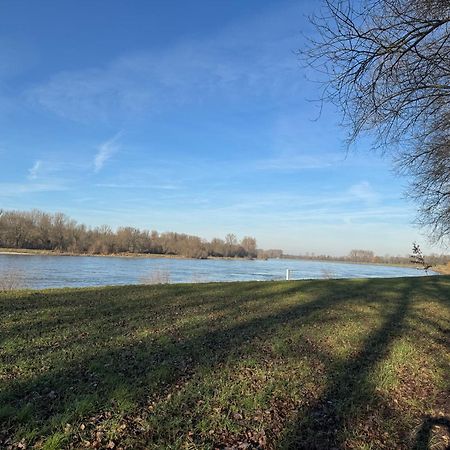 Ferienhaus Hoffmann Am Rheinbogen Altlussheim Esterno foto