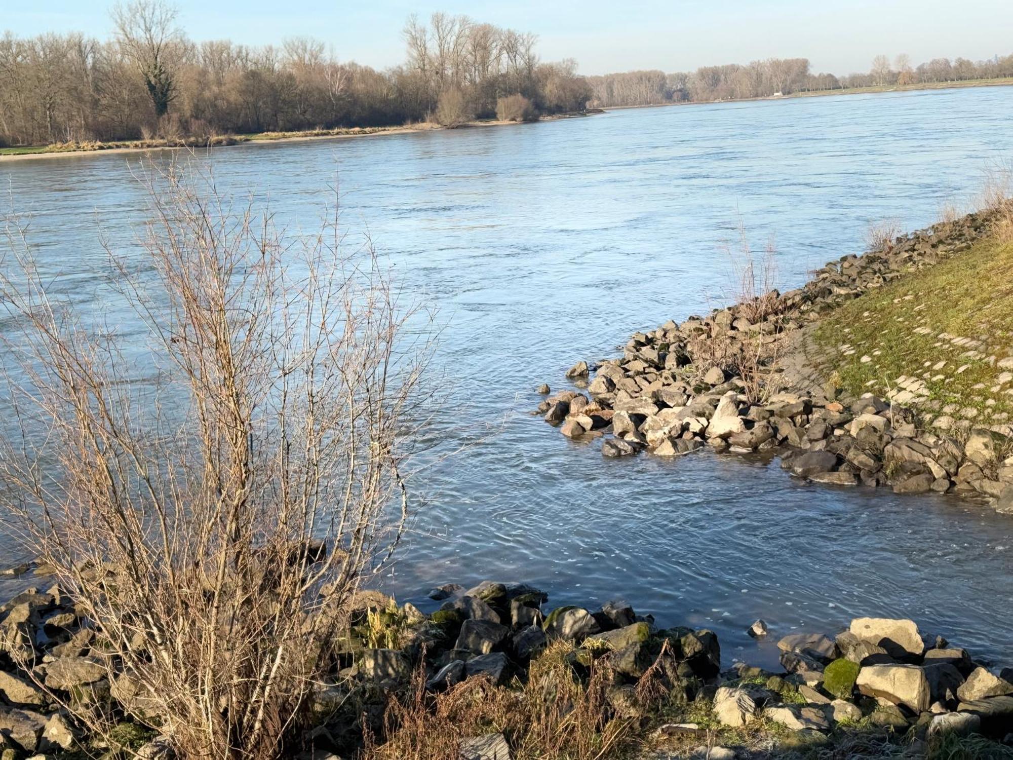 Ferienhaus Hoffmann Am Rheinbogen Altlussheim Esterno foto